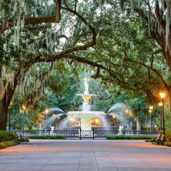 Fun things to do near savannah ga